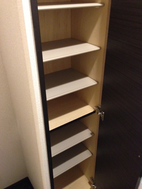 レオネクスト川越シティ403号室 シューズボックス