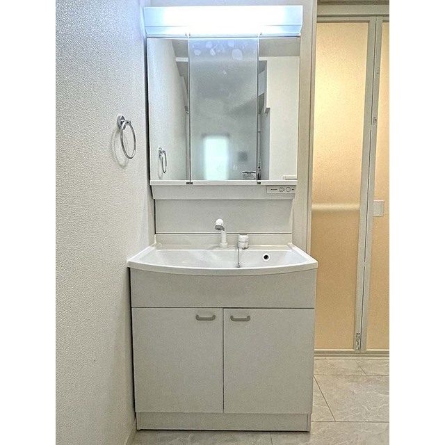 洗足HOUSEテラスハウスA号室 洗面