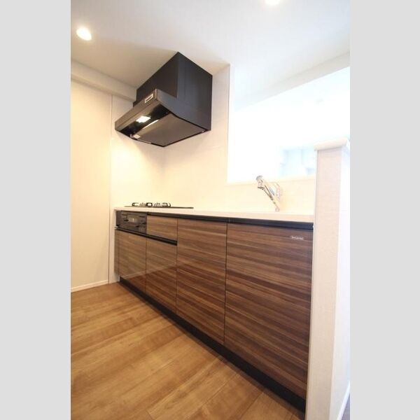 Grande Carro(グランデカッロ)802号室 システムキッチン