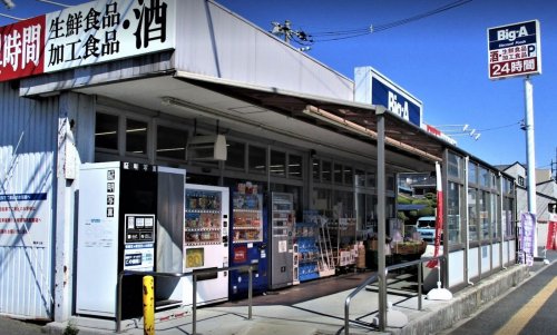 ヴィラ・イン・トランスフルミネ（川越戸建て） 【スーパー】ビッグ・エー 新宿店まで682ｍ