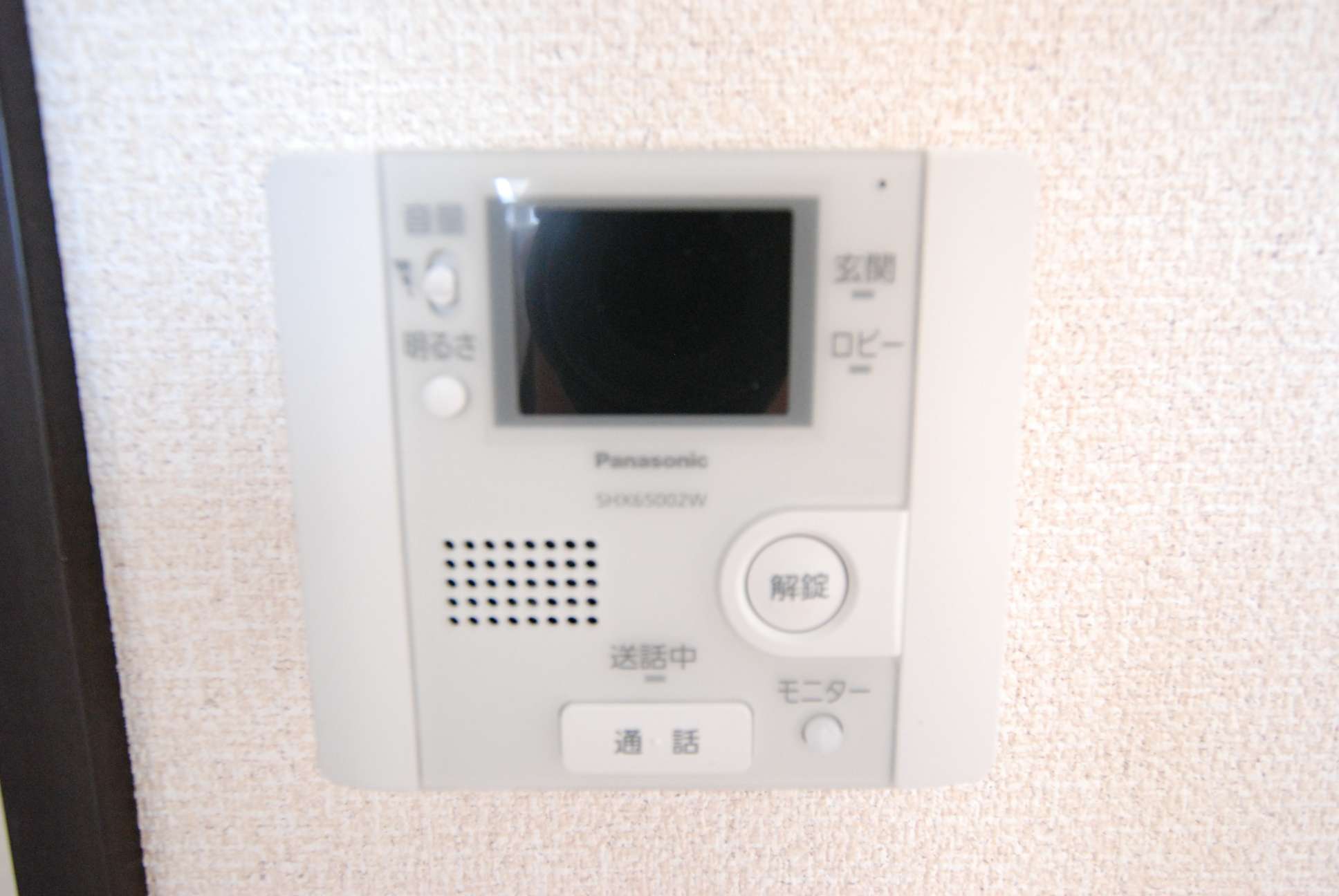 レオネクストアルト304号室 部屋その他