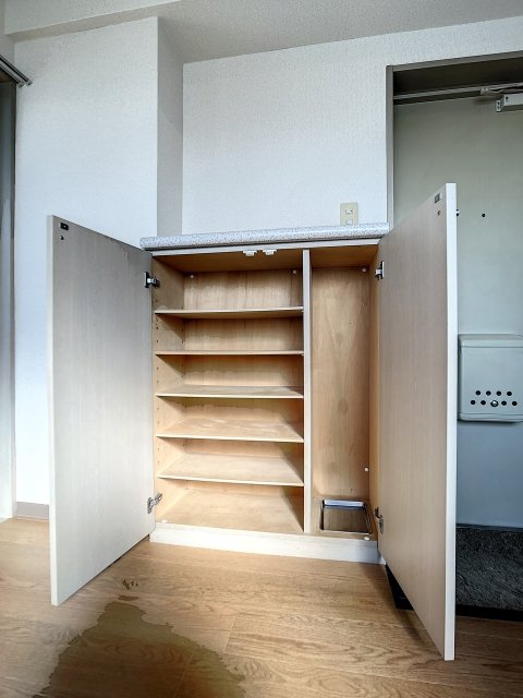 日神パレステージ南池袋 靴入