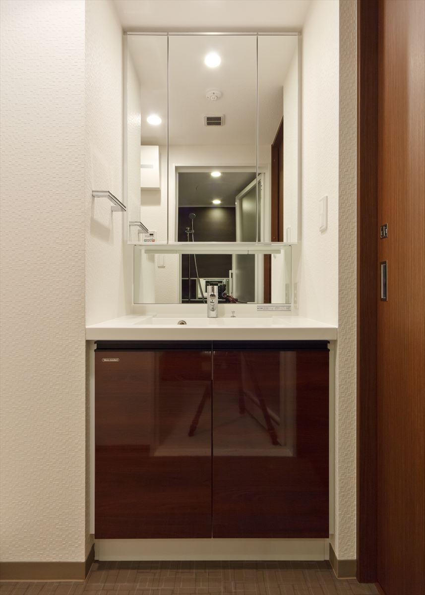 DIPS南六郷208号室 洗面