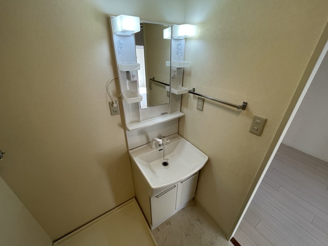 メゾンベール桜台0401号室 洗面