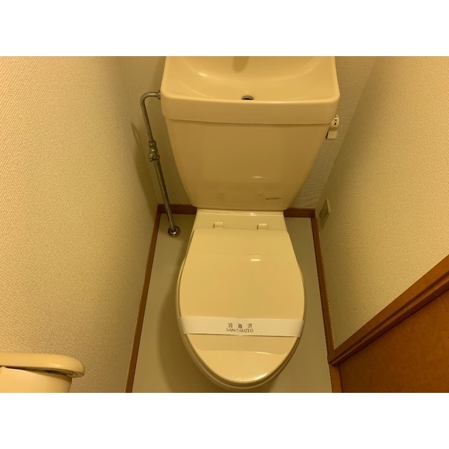 パレスカーマ 内観
