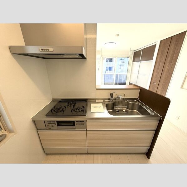 Pixie hollow　A棟205号室 システムキッチン