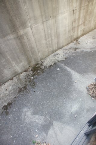 大野ハイツ0101号室 駐車場