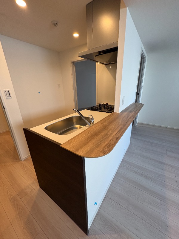 Daiwaグレイスメゾン亀戸2階 部屋その他