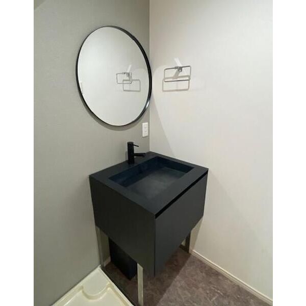 モアナコート南流山203号室 洗面