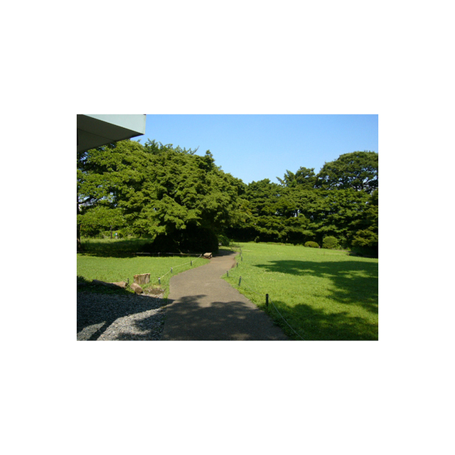 エクレール砧404号室 公園「桜丘四丁目公園まで726m」