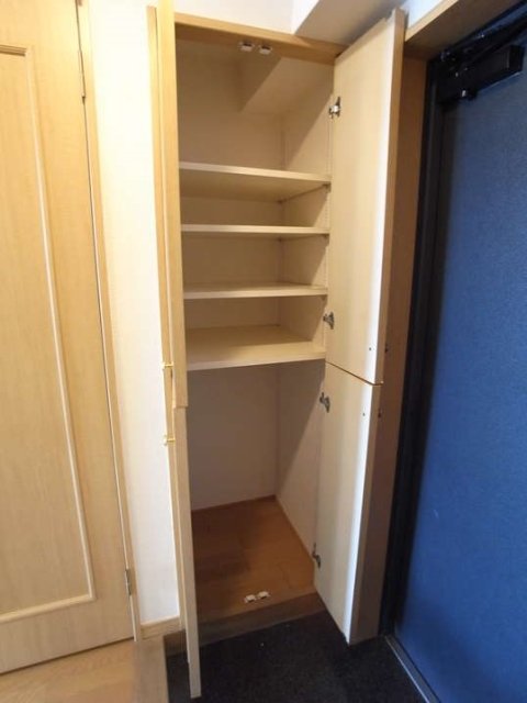 ロイヤルパレス池袋西 収納