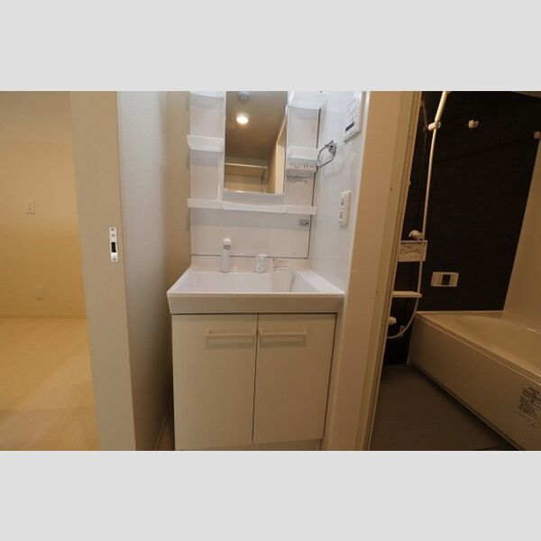 エクセレント ヒルズ401号室 洗髪洗面化粧台