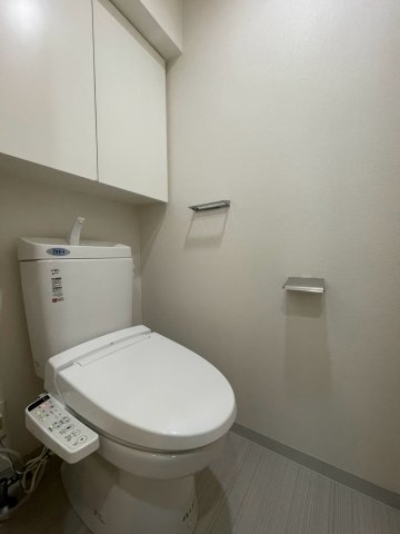 DIPS赤羽駅前803号室 トイレ