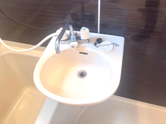 カーサリーラ202号室 洗面