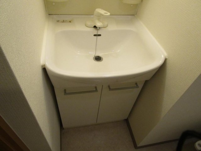 スカイコート都立大学第３1階 洗面