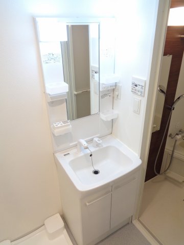 ジェノヴィア中野島115号室 洗面