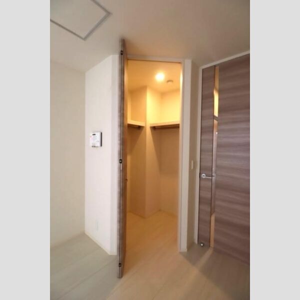 Mario　KⅡ ウォークインクローゼット