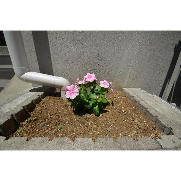 ショーコート本駒込 周辺