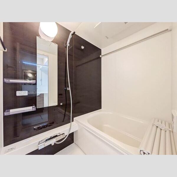 Asset-Court羽衣町301号室 浴室