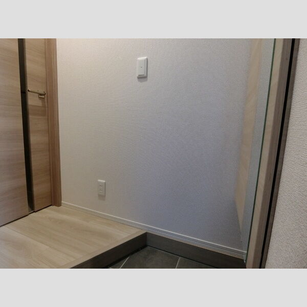 セレスティア柴又Ⅲ 玄関