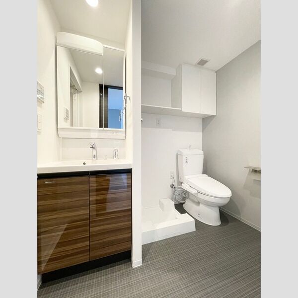 ロイジェント練馬高野台0801号室 独立洗面化粧台・洗濯機置き場・トイレ