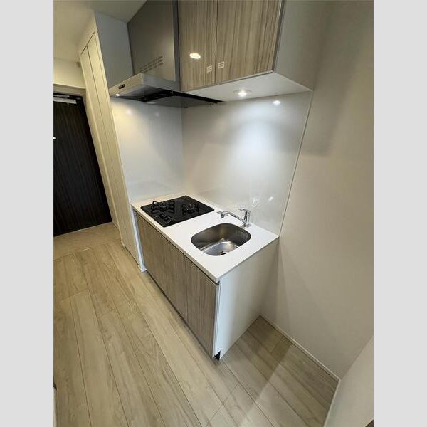 MAXIV横浜吉野町TRE307号室 玄関