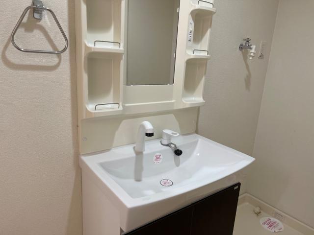 ル・グラン　シャティニエー(le gran chaｔaighier）202号室 洗面