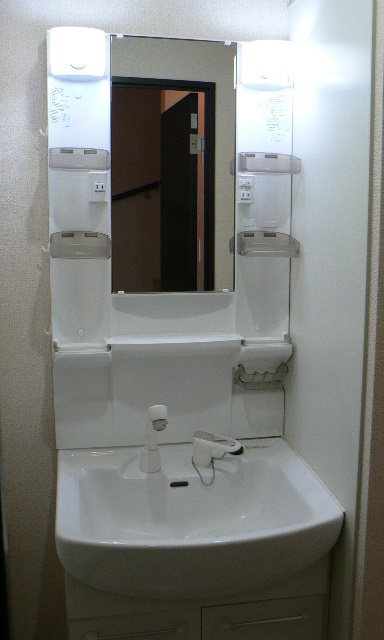 レオネクスト下久保102号室 独立洗面台