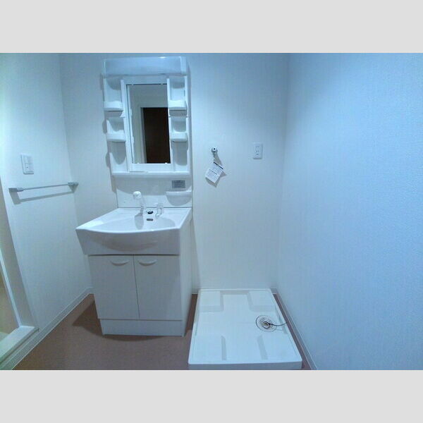 ジ・エレガンス城山101号室 洗髪洗面台