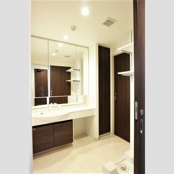 アヴェニール柏の葉107号室 洗髪洗面化粧台