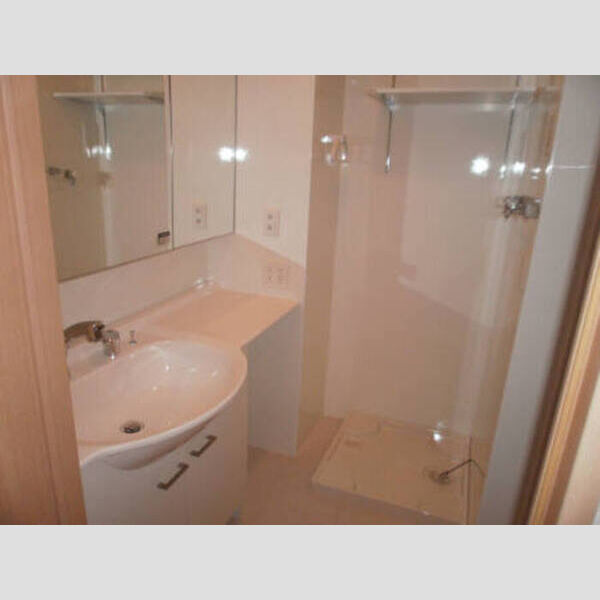 フォルビートヒルズ 302 洗面所