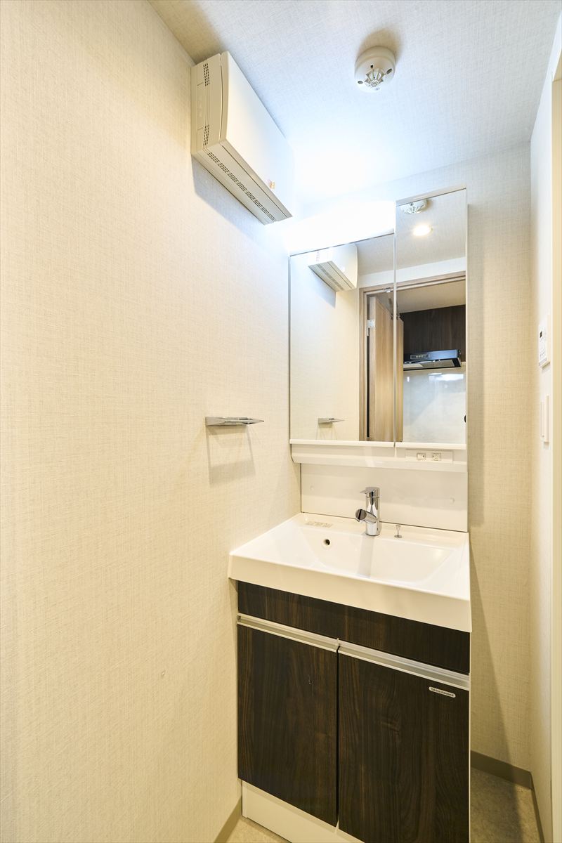 DIPS成増205号室 洗面