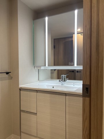 プライムアーバン本駒込102号室 洗面