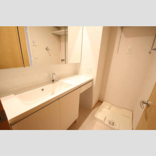 カーサ青井101号室 1号室洗髪洗面化粧台