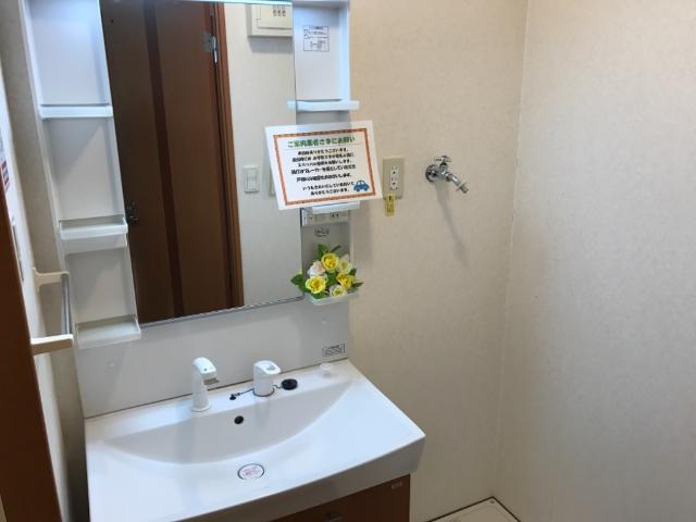 ルミエール102号室 洗面