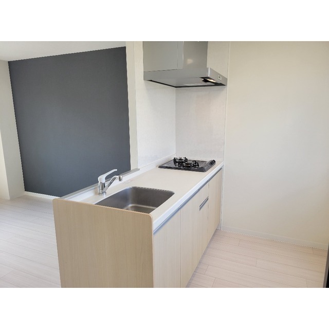 リバービレッヂM301号室 キッチン