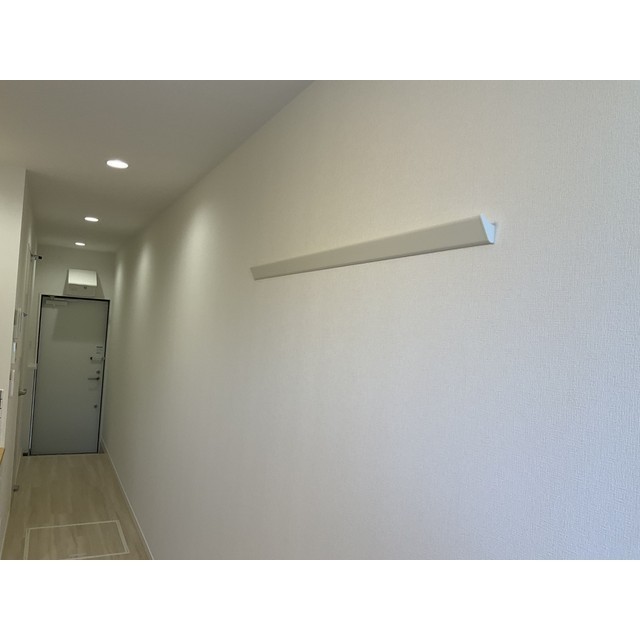 SAレジデンス川崎殿町102号室 内観
