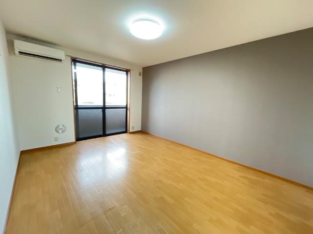 フェニックス206号室 室内