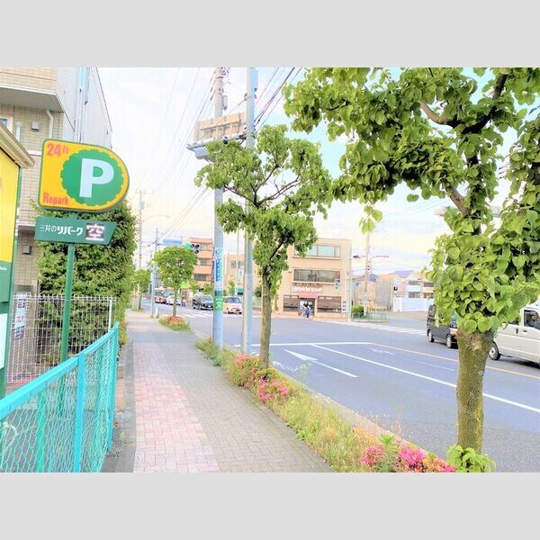 ブラン・ピエール コインP