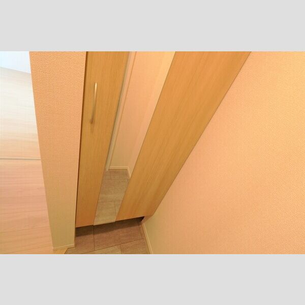 エムズ　バーレイ湘南平塚205号室 シューズクローク