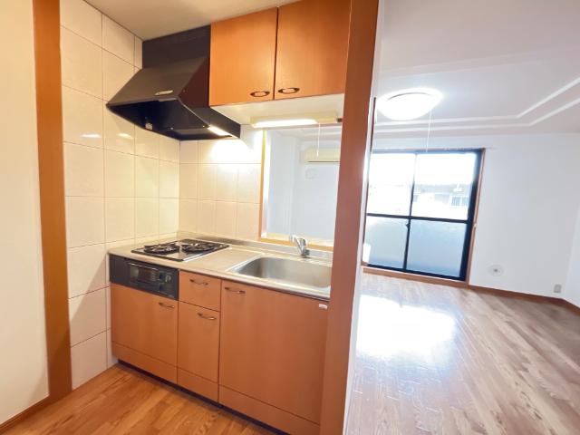 エルマルム00203号室 キッチン