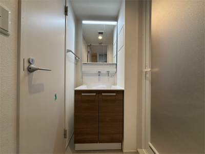 リブリ・エルカーサ亀有3階 洗面