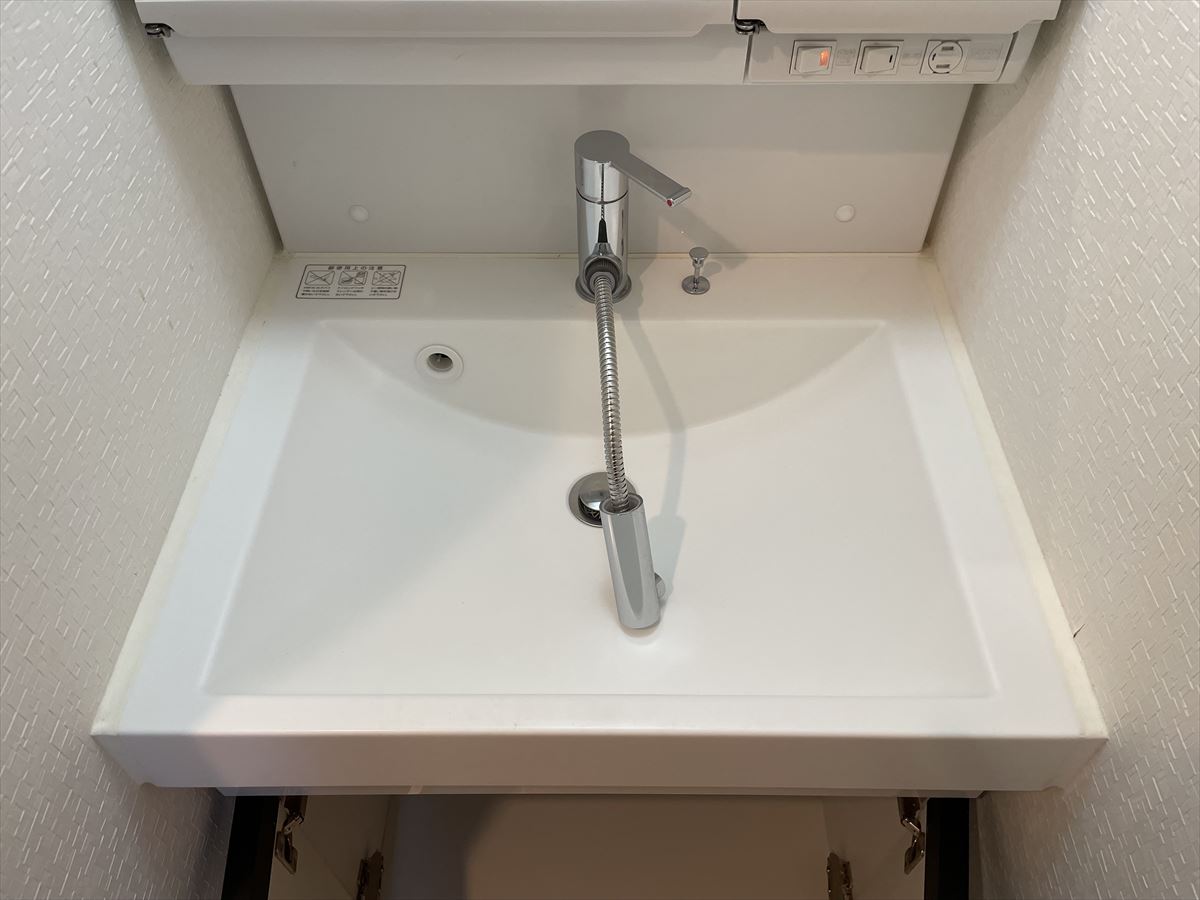 DIPS大山東町801号室 洗面