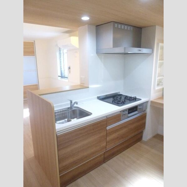 アンジュール高松203号室 キッチン流し台