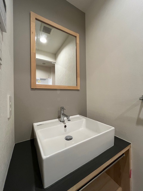 レジディア本郷菊坂プレイス4階 洗面