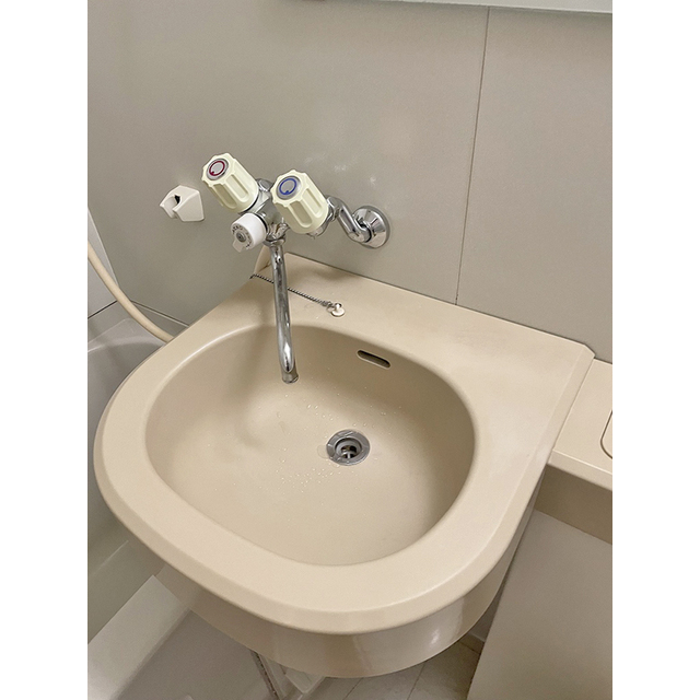 エクレール砧309号室 洗面