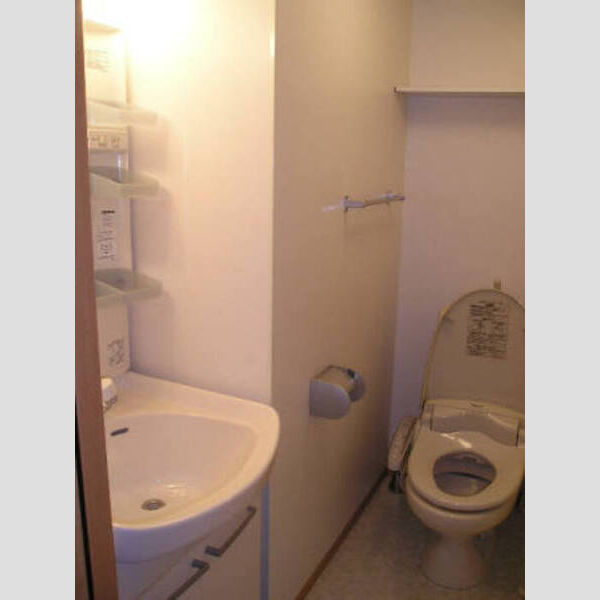 メゾン・ド・オーク306号室 洗面室