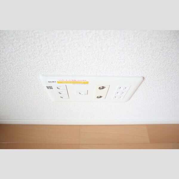 ラフレ東川口203号室 インターネット設備