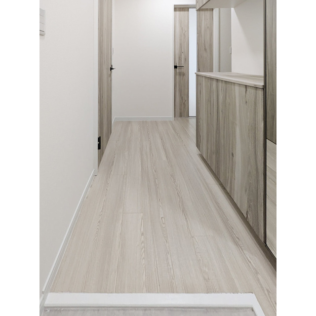 TSKマンション103号室 玄関