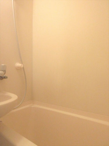 ライオンズマンション府中桜通り201号室 同建物別部屋の参考画像